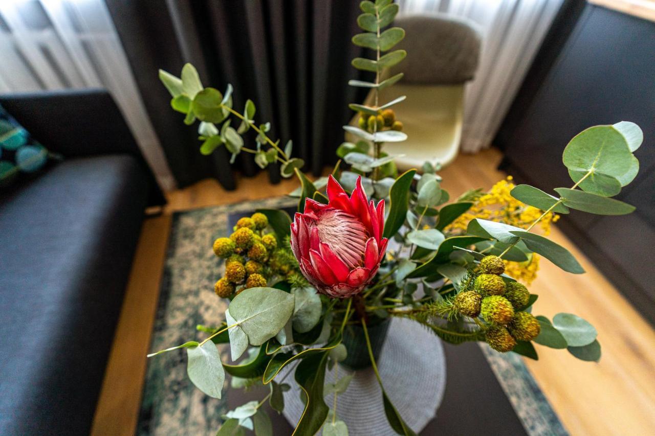 Beautiful Apartment In The Heart Of קובנה מראה חיצוני תמונה